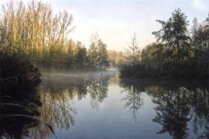 Wienburgpark wird ökologisch aufgewertet