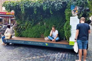 Pflanzen in der Stadt trotzen dem Klimawandel